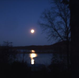 Moonlight on Cove